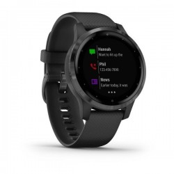 Спортивные часы Garmin VIVOACTIVE 4S черные с серым безелем