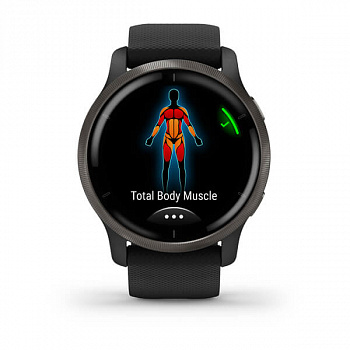 Смарт-часы Garmin Venu 2, Wi-Fi, GPS, черные с серым безелем и силиконовым ремешком (010-02430-11)