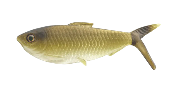 Мягкая приманка 13FISHING The Dine Swimbait 4,25"/ GR (3шт./уп.)