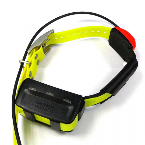 Ошейник Garmin T5 Russia